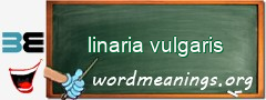 WordMeaning blackboard for linaria vulgaris